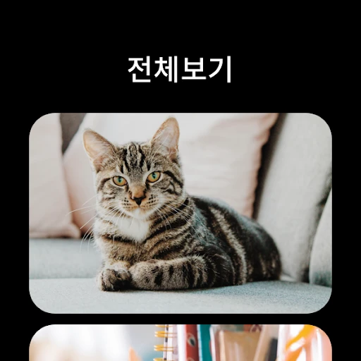 스크린샷