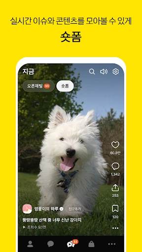 스크린샷