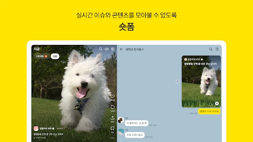 스크린샷