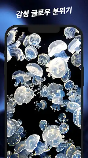스크린샷